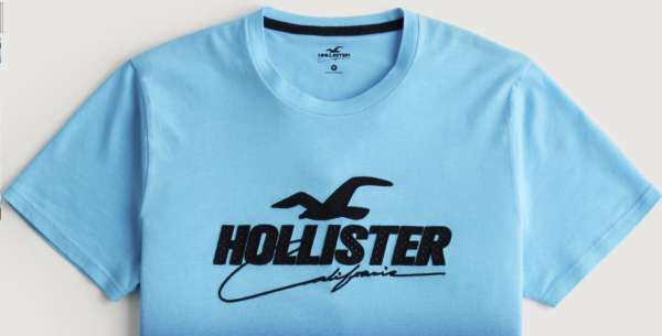 PÁNSKÉ PRODLOUŽENÉ TRIKO HOLLISTER  - 054 - Image 2